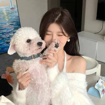 蚊子海岸